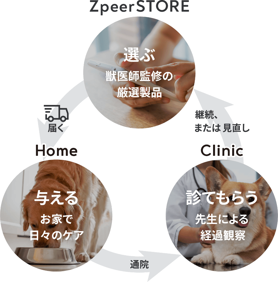 Home | ZpeerSTORE